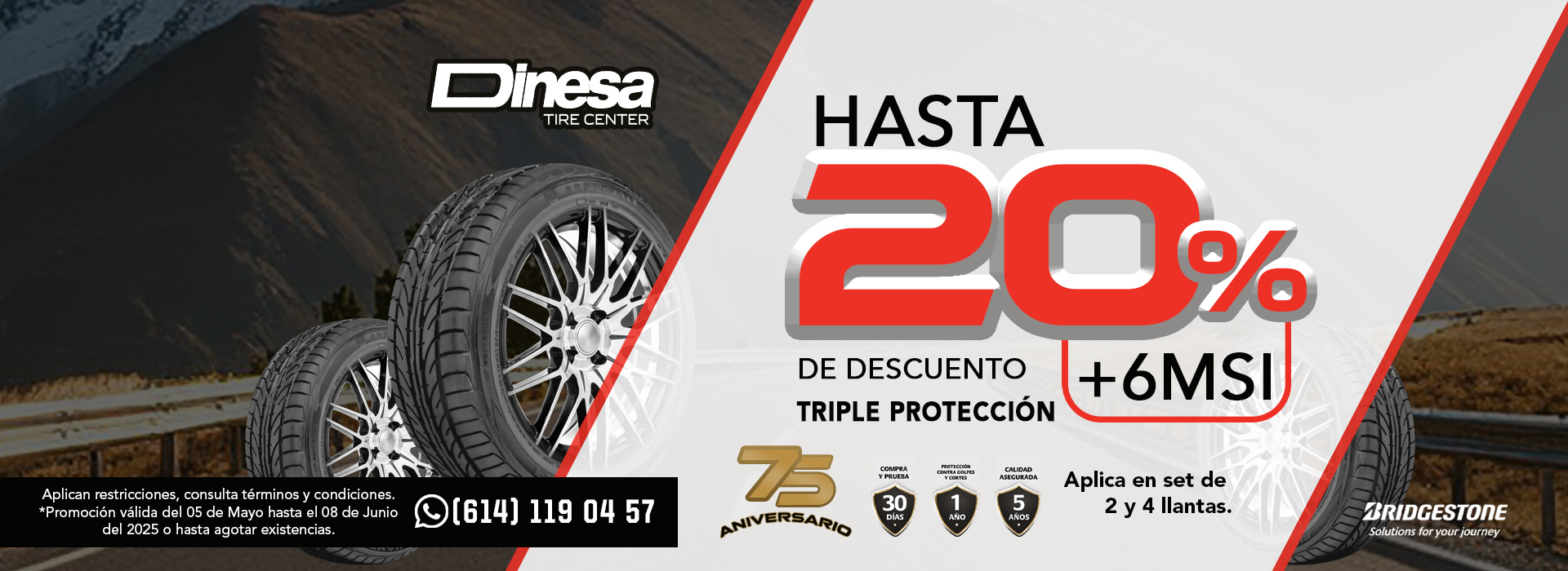 Dinesa